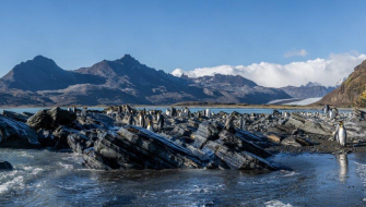 South Georgia Fortuna Bay Shackleton Hike by Jordi Plana Morales
