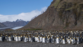 South Georgia Fortuna Bay Shackleton Hike by Jordi Plana Morales