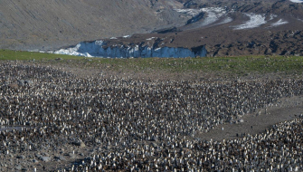 Ocean Harbour and St. Andrews Bay Jordi Plana Morales Bark EUROPA South Georgia