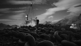 South Georgia Cumberland Bay East by Richard Simko
