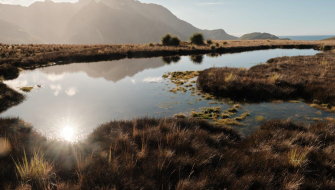 Cobblers Cove Rookery Point Gothul by Richard Simko Bark EUROPA