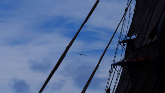 Equator Crossing by Abi Smyth