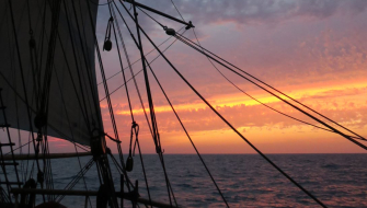 Out from Tenerife Tim Lucas