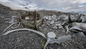 Bark EUROPA Gerlache Strait Trinity/Spert Islands, Mikkelsen harbour and Cierva Cove by Jordi Plana Morales