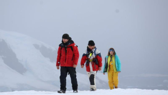 Danco & Neko landings