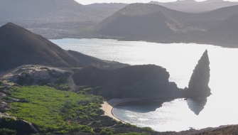 Galapagos Bark EUROPA by Zet Freiburghaus