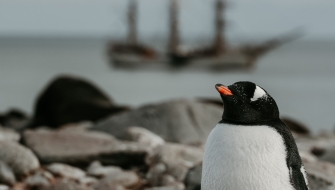 Antarctica Bark EUROPA Drea Leon