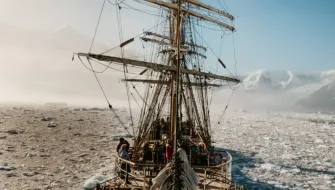 Bark EUROPA Drea Leon