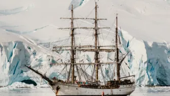 Bark EUROPA Drea Leon