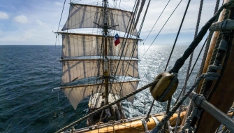Humboldt Current Bark EUROPA