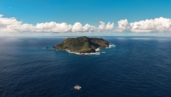 Bark EUROPA Pitcairn