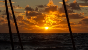 Sailing between Tonga and Auckland