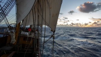 Sailing between Tonga and Auckland