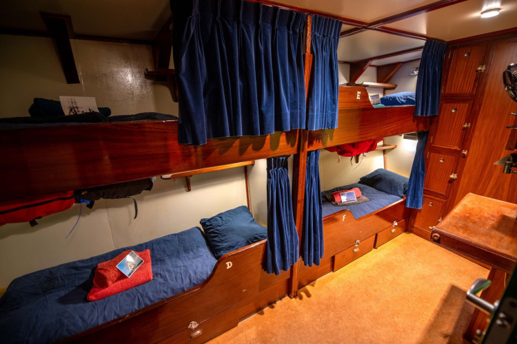 Cabins - Bark EUROPA