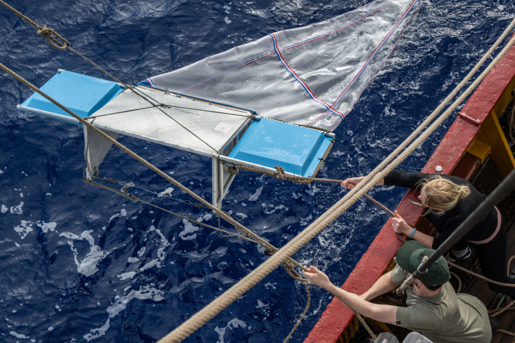Manta trawl