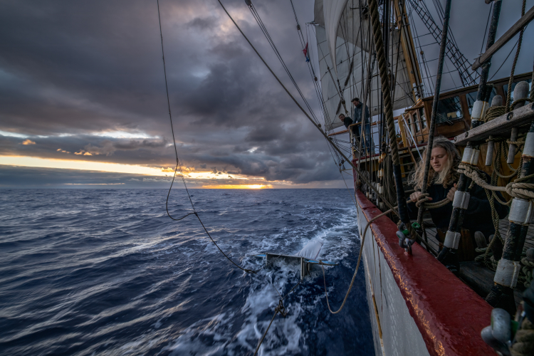 Manta trawl