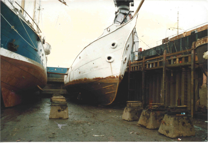 History of Bark EUROPA