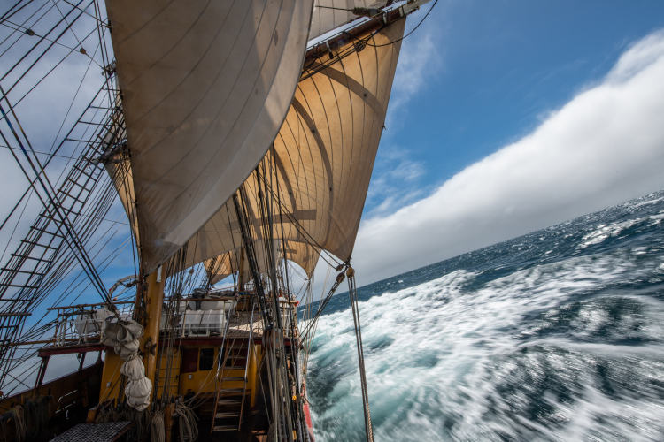 Covid voyage in 2020