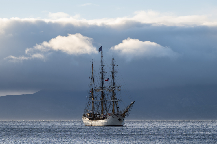 Bark EUROPA in Chile