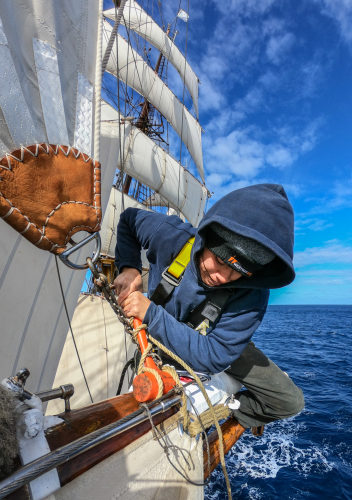 Up in the rigging