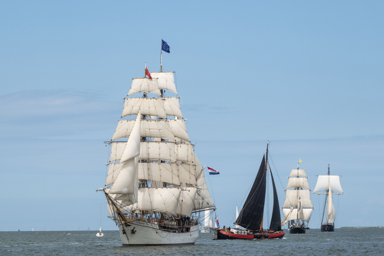 Parade of Sails