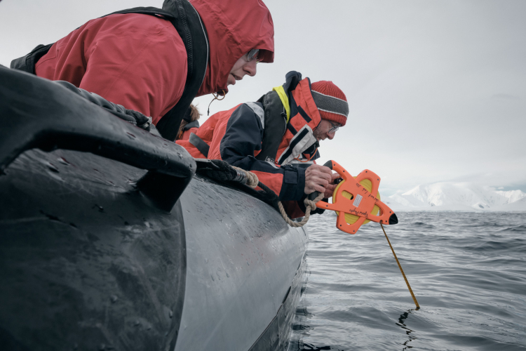 Fjord Phyto Bark EUROPA