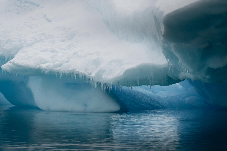 Matthew Lynch Iceberg Graveyard