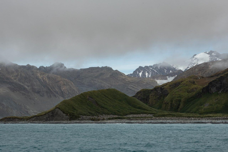 South Georgia - Philipp Reindhard