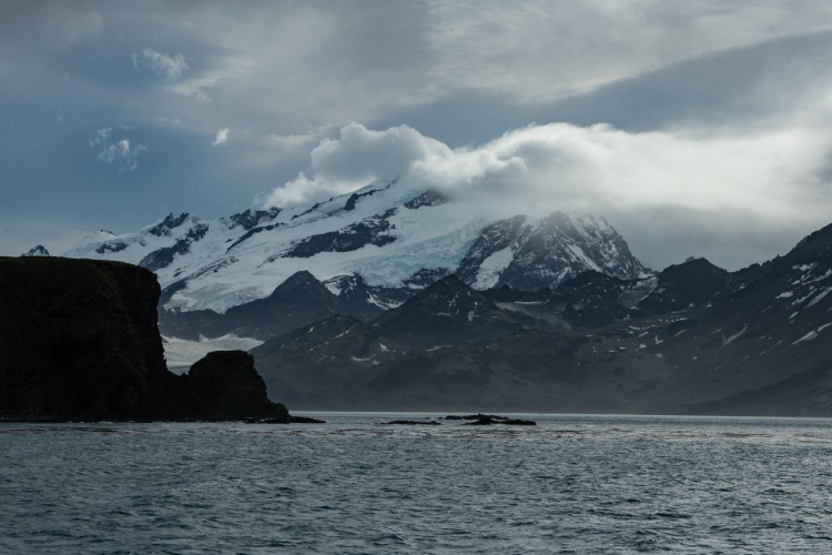 South Georgia - Philipp Reindhard