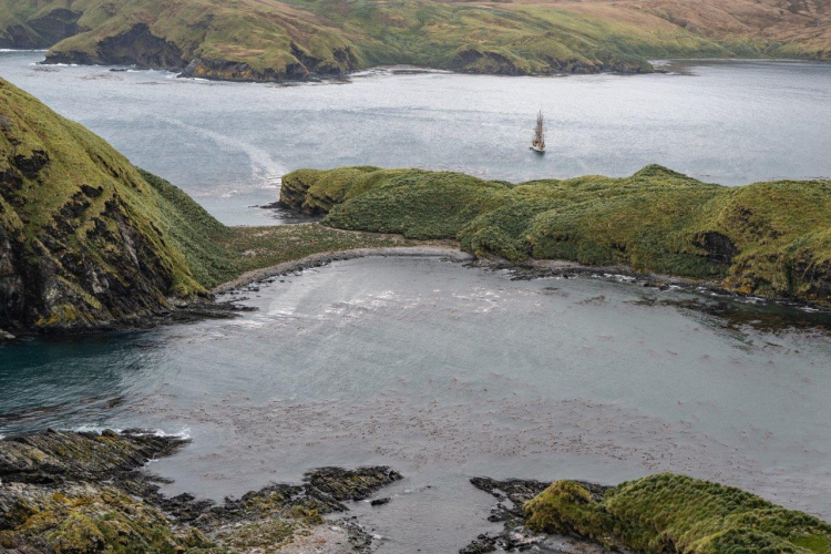 Cobblers Cove Rookery Point Gothul by Jordi Plana Morales Bark EUROPA