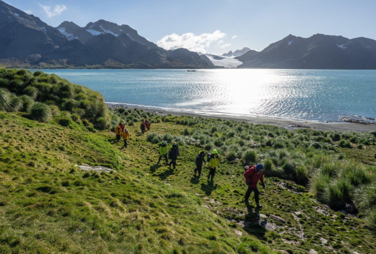 South Georgia Fortuna Bay Shackleton Hike by Jordi Plana Morales