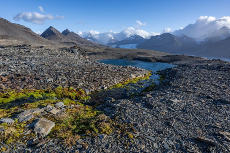South Georgia Fortuna Bay Shackleton Hike by Jordi Plana Morales