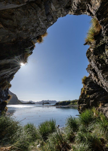 South Georgia, Jason Harbour and Maiviken by Jordi Plana Morales