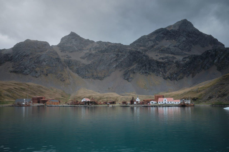 South Georgia Cumberland Bay East by Richard Simko