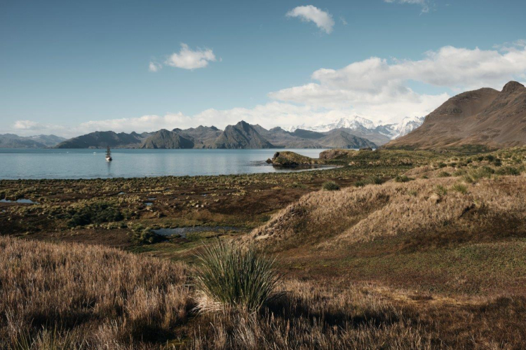 South Georgia, Jason Harbour and Maiviken by Richard Simko