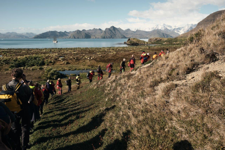 South Georgia, Jason Harbour and Maiviken by Richard Simko