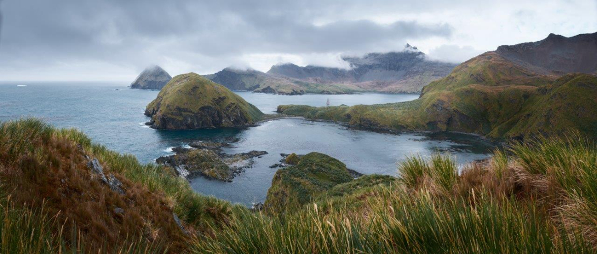 Cobblers Cove Rookery Point Gothul by Richard Simko Bark EUROPA