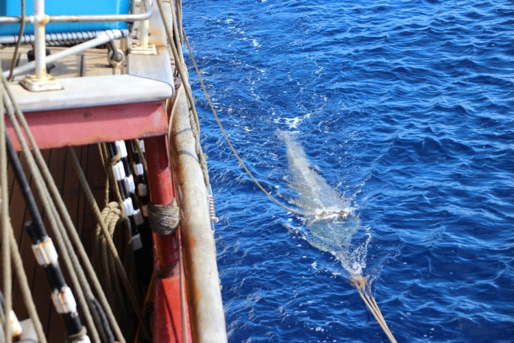 Plankton Trawling North Atlantic