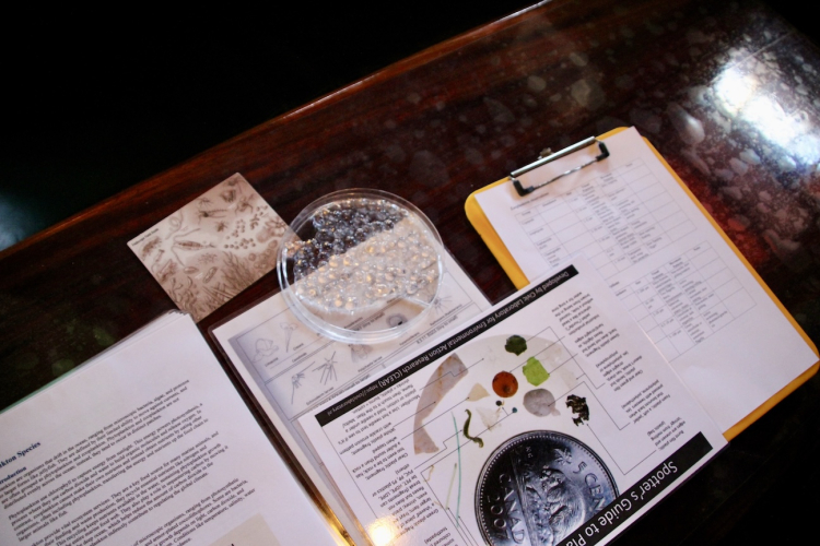 Plankton Trawling North Atlantic