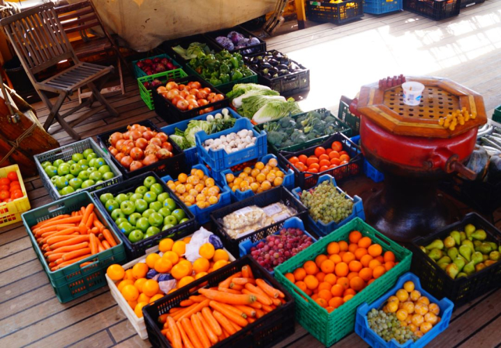 Abigail Smyth Ocean Crossing from Tenerife to Piriapolis 2025 fresh stores