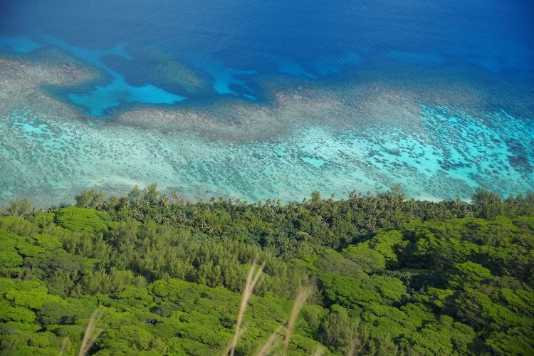 French Polynesia by Jan Stevens