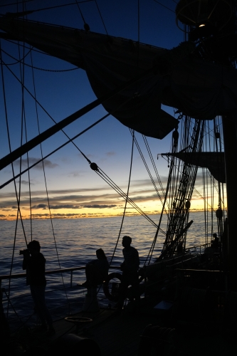 French Polynesia by Jan Stevens