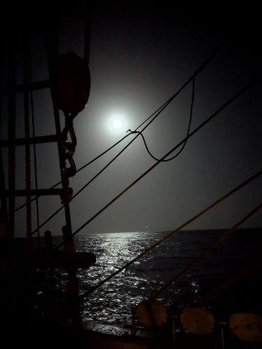 Moonlight Europa by Abigail