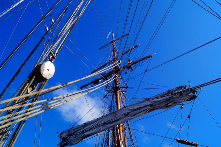 main top gallant abi smyth