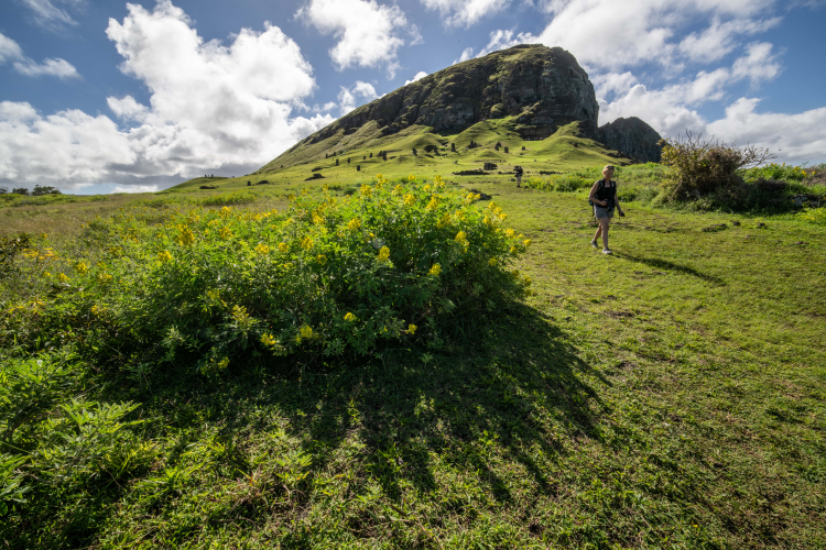 Easter Island Bark EUROPA Rapa Nui by Jordi Plana Morales