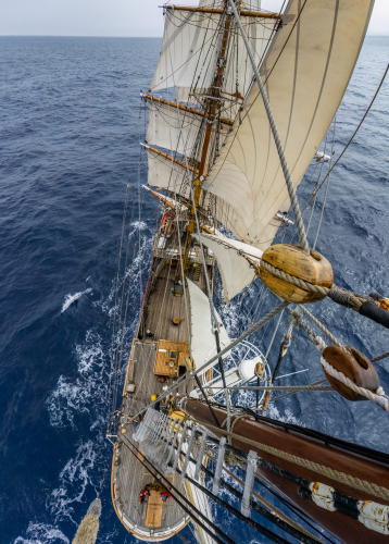 Drake Passage Bark EUROPA