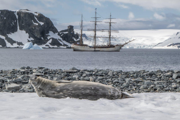 South Shetland Islands by Jordi Plana Morales