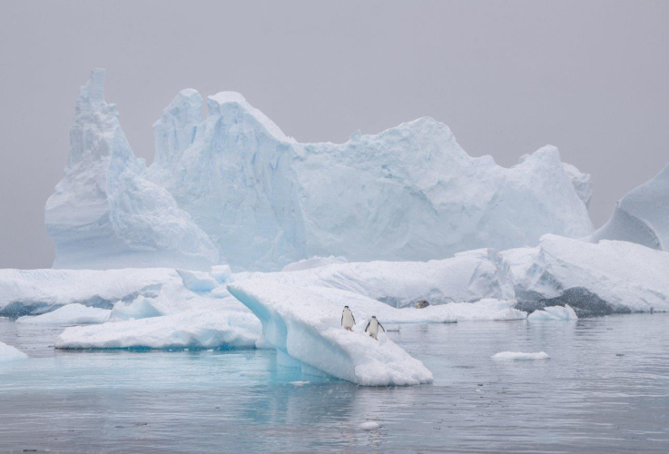 Bark EUROPA Gerlache Strait Trinity/Spert Islands, Mikkelsen harbour and Cierva Cove by Jordi Plana Morales