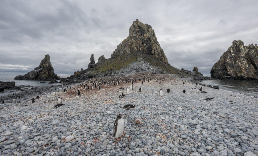 South Shetland Islands by Jordi Plana Morales