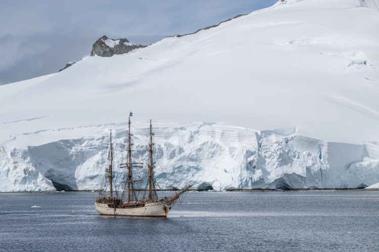 the western shores of the Antarctic Peninsula